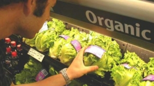 فوائد وأضرار الأطعمة العضوية