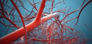 أمراض الأوعية الدموية والوقاية منها