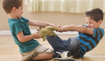 التشاجر بين الأخوة